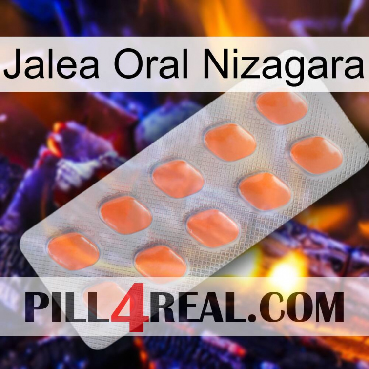 Nizagara Oral Jelly 26